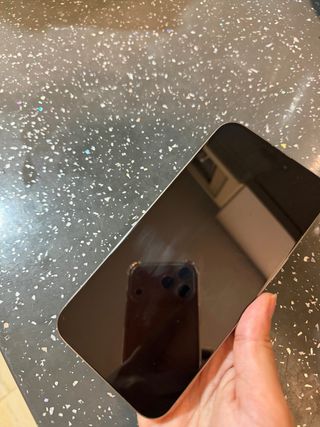 iPhone 15 Pro Max Gris/Plata