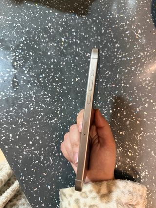 iPhone 15 Pro Max Gris/Plata