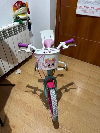 Bicicleta infantil niña con ruedines