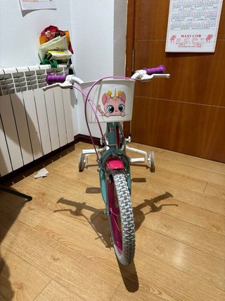 Bicicleta infantil niña con ruedines