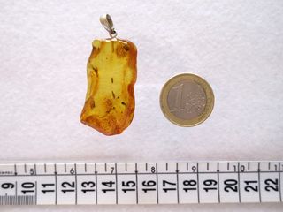 Ciondolo Ambra Baltico Naturale 6gr