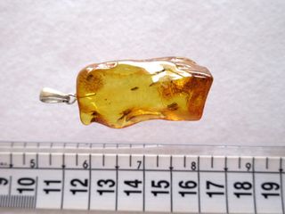 Ciondolo Ambra Baltico Naturale 6gr