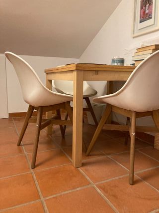 Silla patas madera y carcasa pp blanca