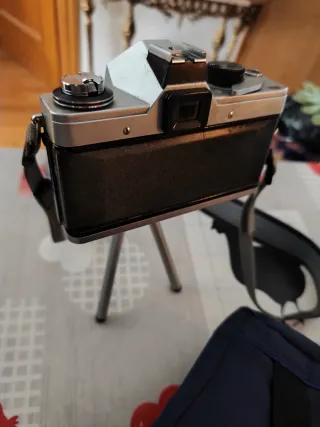 Lote de cámaras analógicas