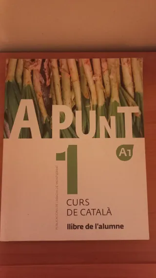 A Punt 1