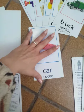 28 Tarjetas Educativas Baby Einstein Grandes