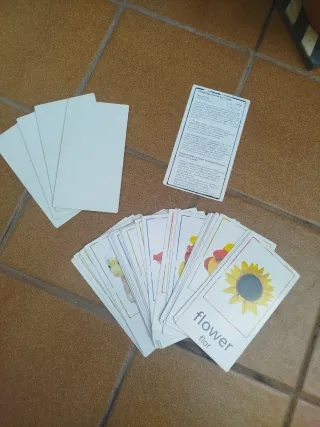 28 Tarjetas Educativas Baby Einstein Grandes