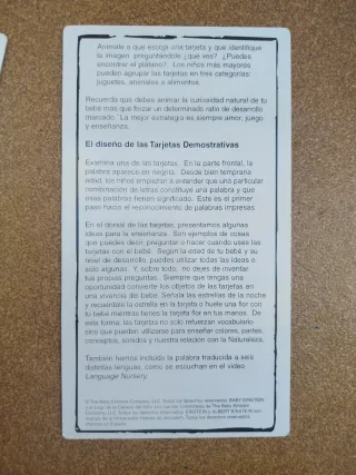 28 Tarjetas Educativas Baby Einstein Grandes