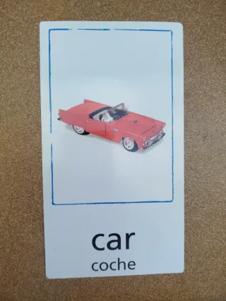 28 Tarjetas Educativas Baby Einstein Grandes