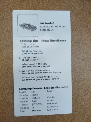 28 Tarjetas Educativas Baby Einstein Grandes