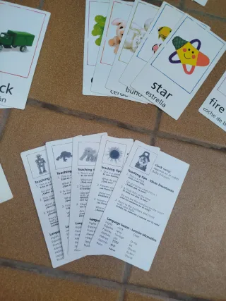 28 Tarjetas Educativas Baby Einstein Grandes