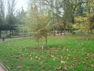 Cámara Digital Sony DSC-W80 Blanca