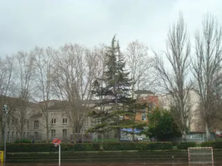 Cámara Digital Sony DSC-W80 Blanca