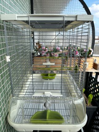 Jaula para pájaros Vision