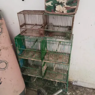 Jaulas para pájaros (2 unidades)