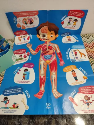 Puzzle Cuerpo Humano Hape 10 Piezas