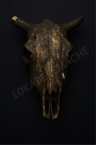 Pinzas de precisión con lupa, caja musical y más