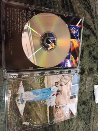 Van Halen Live: Right Here, Right Now DVD