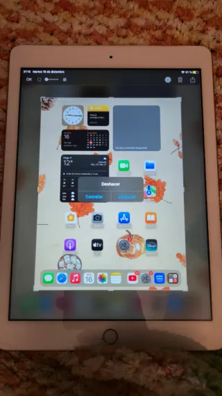 iPad 2018 Blanco, minijack averiado,