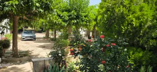 Se vende Negocio Agrícola. Alta rentabilidad