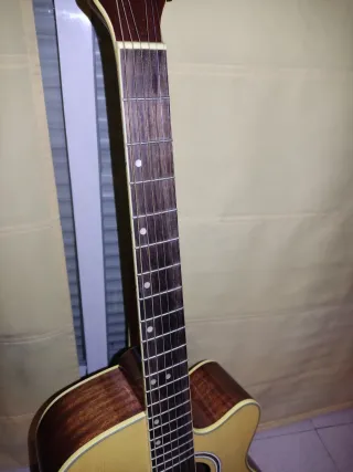 Guitarra acústica Rochester