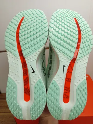 Nike Pegasus Premium talla 41 y 45