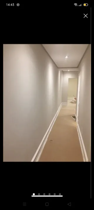 Servicios de Pintura y Alisado de Paredes