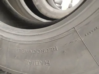 Neumáticos 10 R17.5