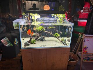 Acuario Aquael mas filtros. completo.