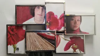 Marco fotos Umbra Flo multi fotos