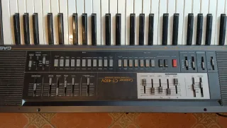 Órgano Eléctrico Casio