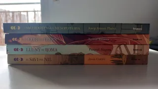 Pack 4 libros de la serie ámbitos de Algar