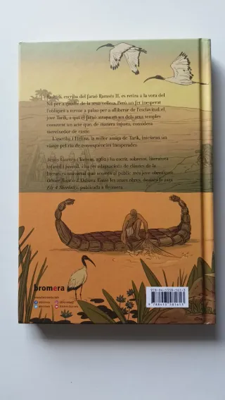 Pack 4 libros de la serie ámbitos de Algar