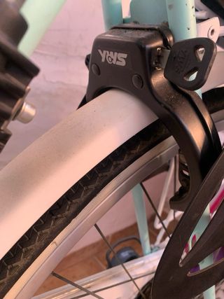 Bicicleta de paseo con sillas para niñ@s