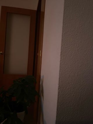 Contenido completo de trastero - Lote único