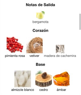 Armaf SHK I By Saoud Alkaabi 100ml