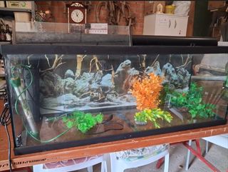 Acuario 100L buen estado