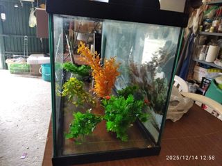 Acuario 100L buen estado