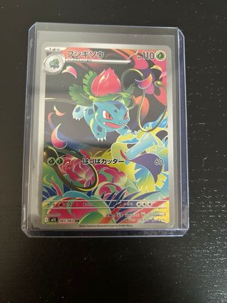 Cartas Pokémon en Funda