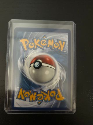 Cartas Pokémon en Funda