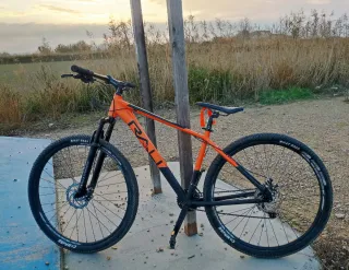 Bicicleta Montaña/Paseo