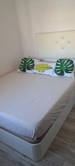 Alquiló habitación