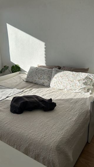 BRIMNES Estructura diván blanco 80x200