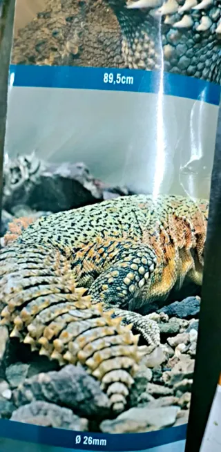 Lámpara Reptil Lux Pro 10.0