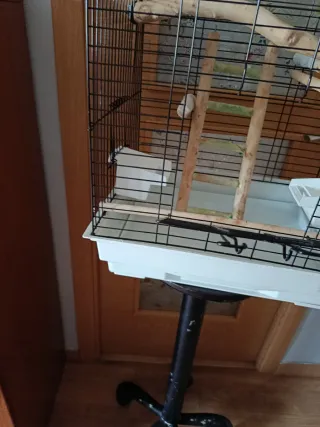 Jaula grande para pájaros con pie con ruedas