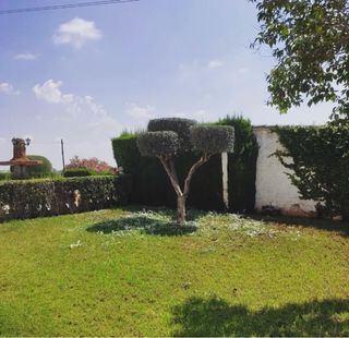 Jardinero Profesional