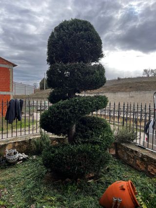 Jardinero Profesional