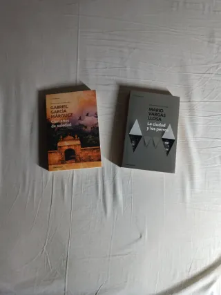 La ciudad y los perros cien años de soledad