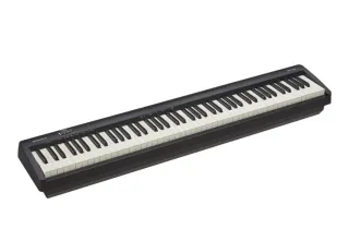 Conjunto Piano Roland FP10