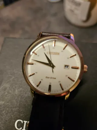 Orologio Citizen Eco-Drive Pelle Marrone